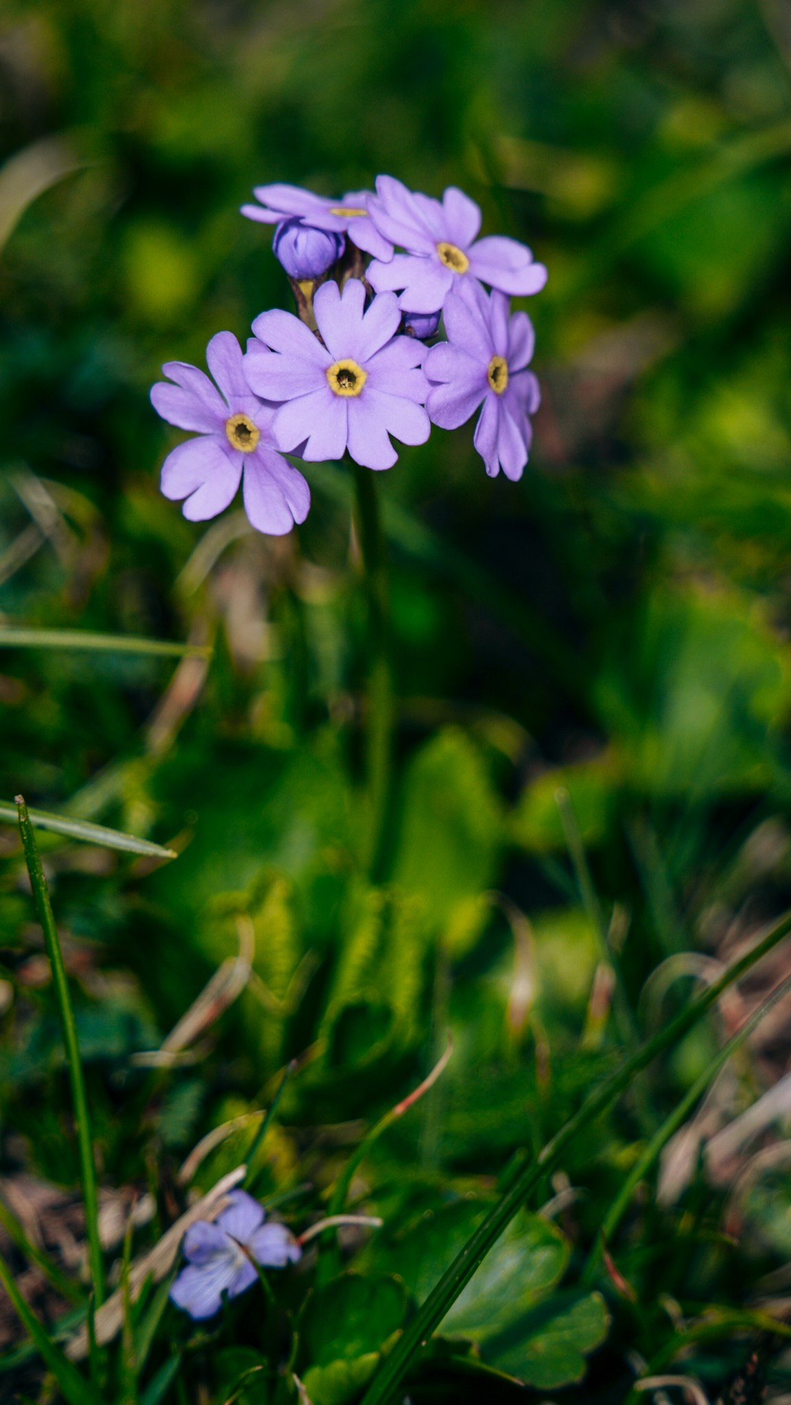 Кыргызстан. Человек с фотокамерой