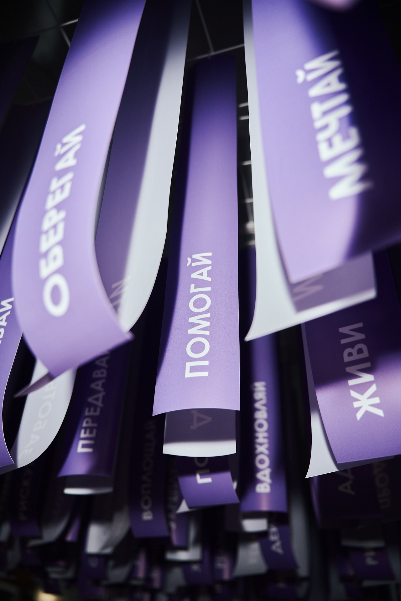 Отзывы. Фотограф в Хабаровске