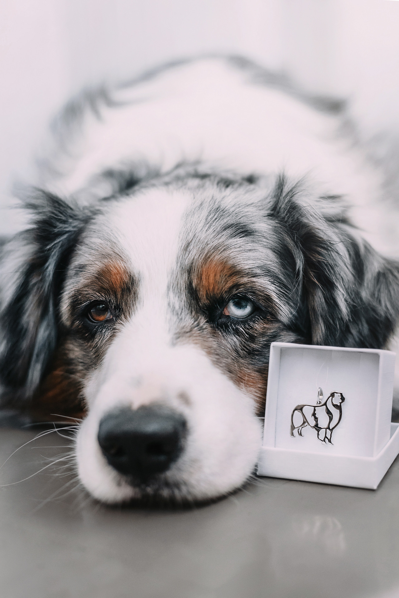 Украшения Diamond Animal. Фотограф-анималист Елена Радченко, Москва