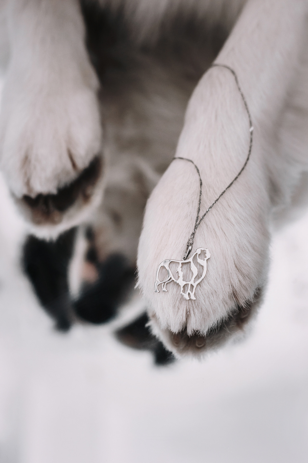 Украшения Diamond Animal. Фотограф-анималист Елена Радченко, Москва