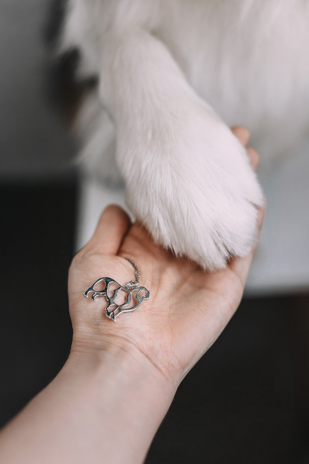 Украшения Diamond Animal. Фотограф-анималист Елена Радченко, Москва