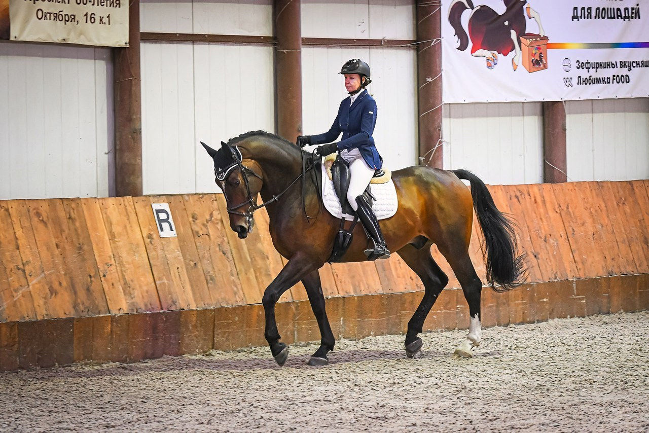 Отзывы. ТУРНИРНАЯ КОННАЯ ФОТОГРАФИЯ, Руднева Ольга и Евгений Адеев