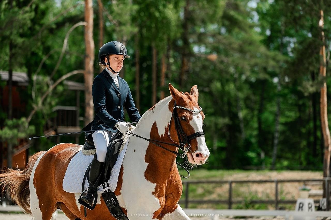 КУБОК КСК «АЛМАЗОВО» по ВЫЕЗДКЕ, 2 ЭТАП. Конный фотограф Куракина Дарья • Фотосессии с лошадьми