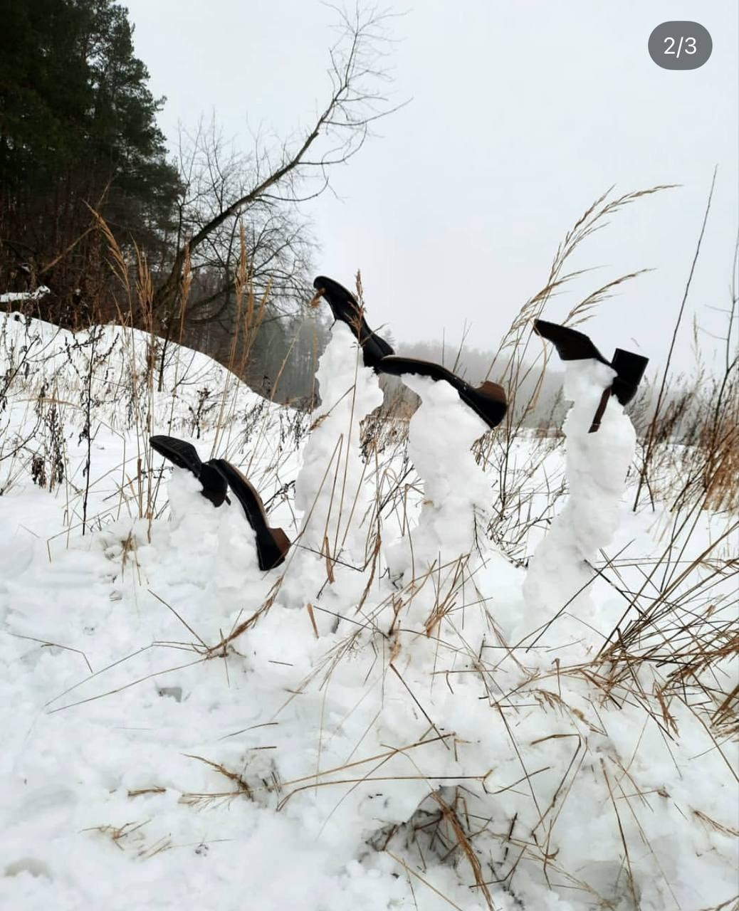«Хроники холода» 2020. Лилия Ким. Междисциплинарный художник