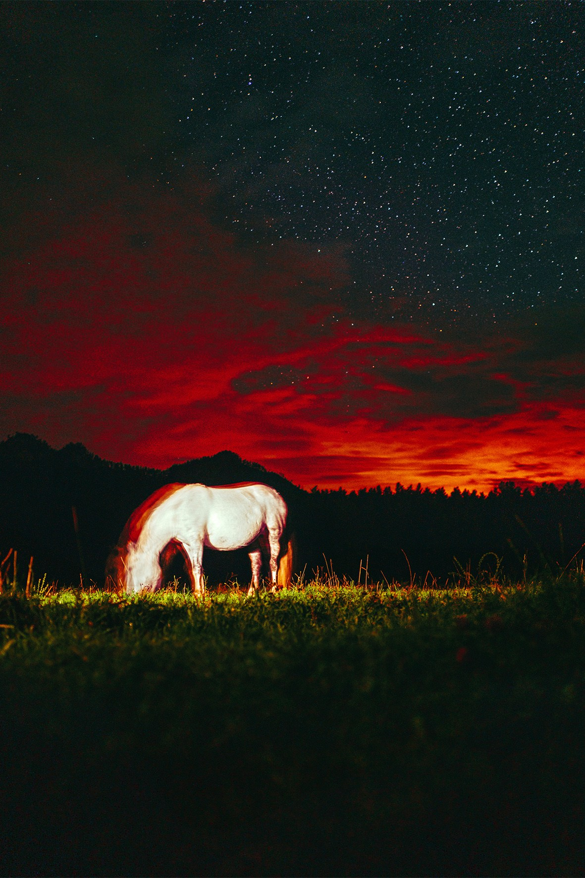 СВЕТ НОЧИ. Visual artist Daniil Kontorovich