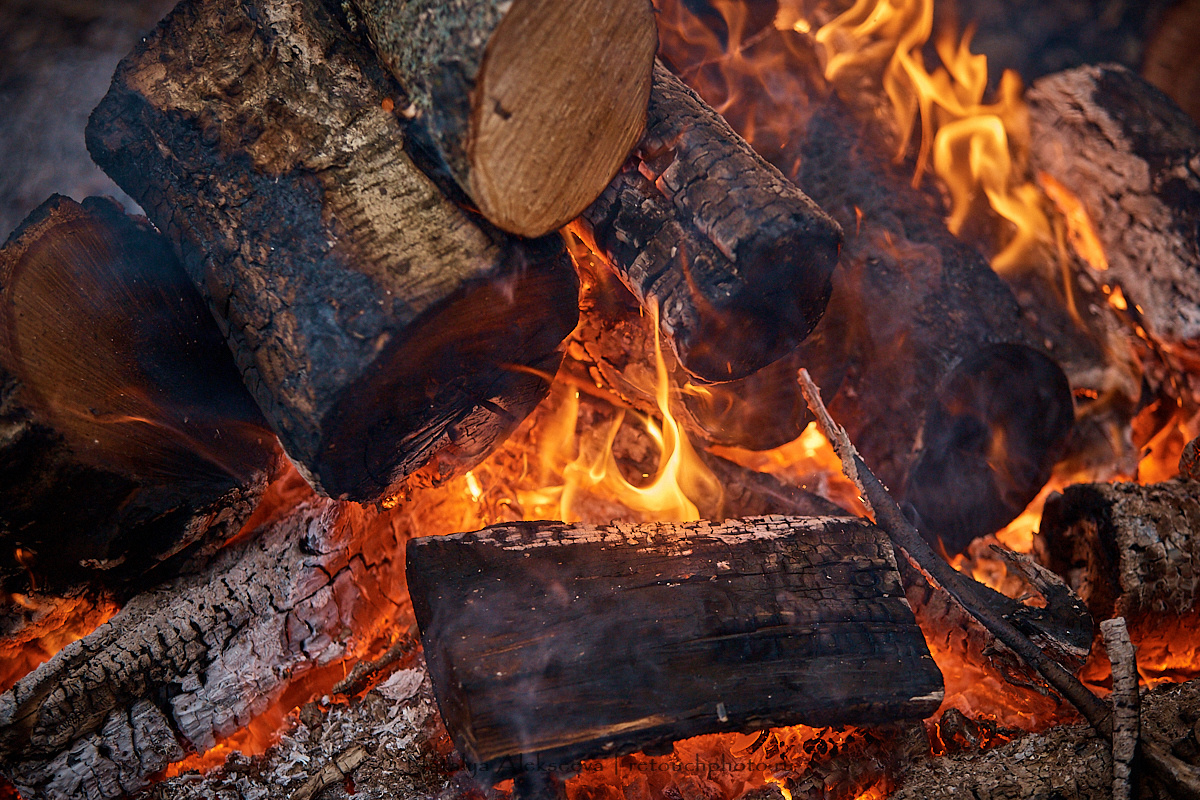 Лесная вылазка клуба Night Minions | 11'2019. Репортажный фотограф и ретушер в Москве Наталья Алексеева