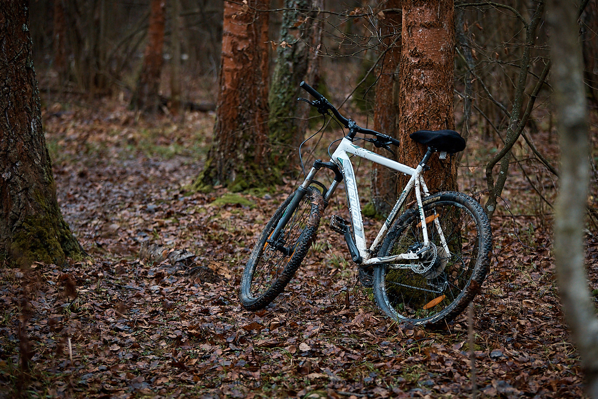 Лесная вылазка клуба Night Minions | 11'2019. Репортажный фотограф и ретушер в Москве Наталья Алексеева