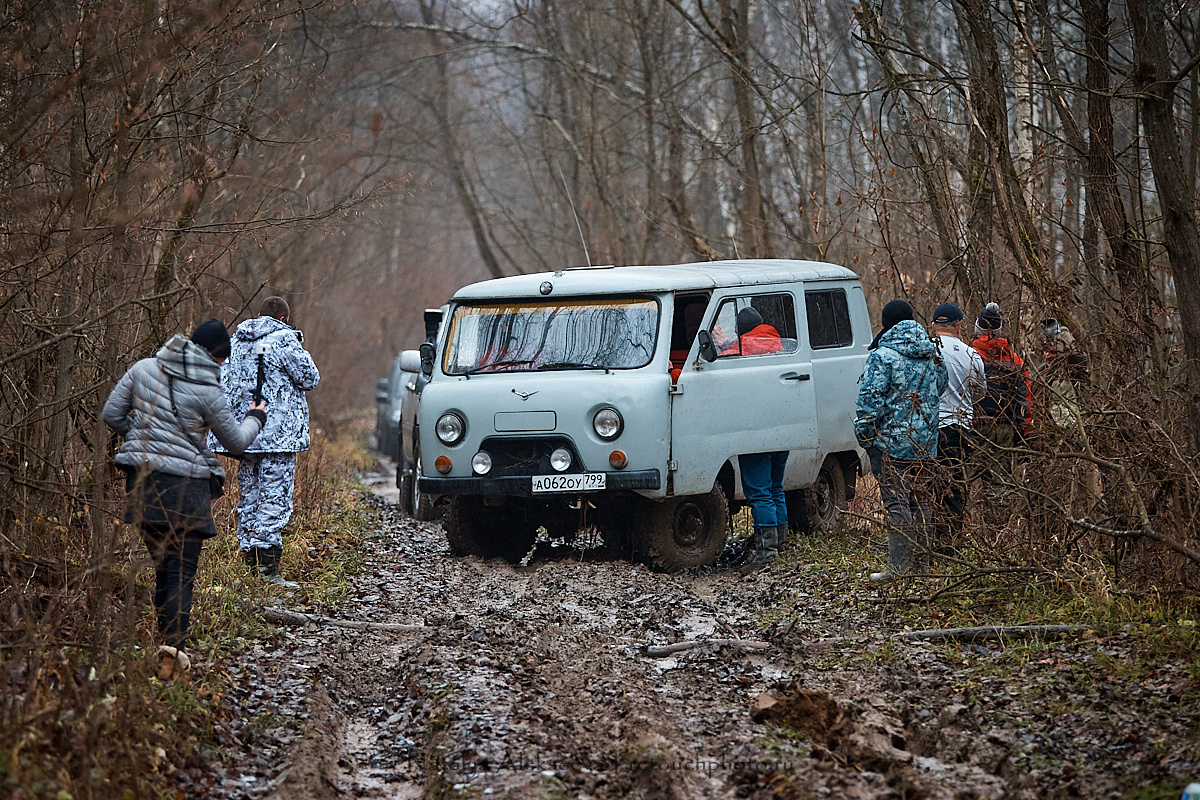Лесная вылазка клуба Night Minions | 11'2019. Репортажный фотограф и ретушер в Москве Наталья Алексеева