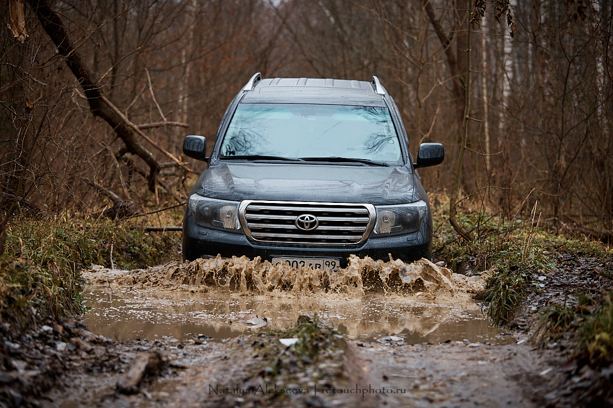 Лесная вылазка клуба Night Minions | 11'2019. Репортажный фотограф и ретушер в Москве Наталья Алексеева