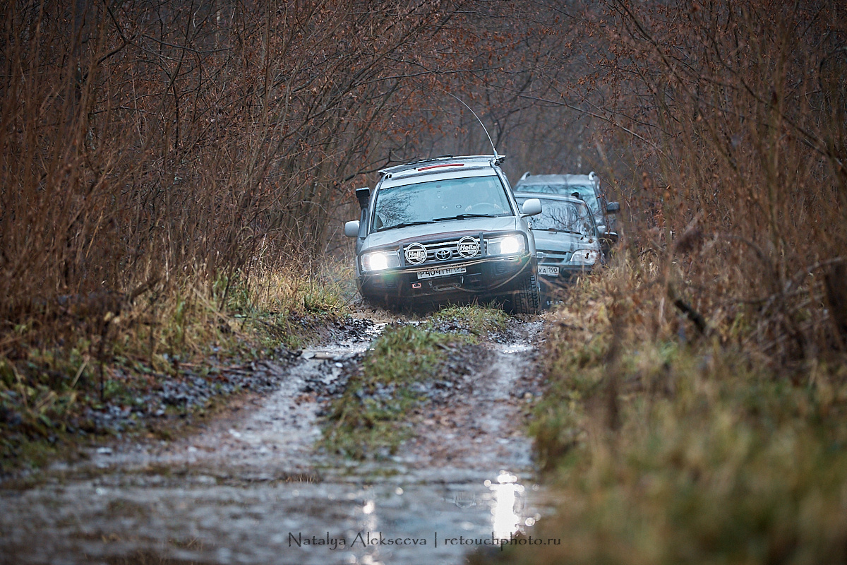 Лесная вылазка клуба Night Minions | 11'2019. Репортажный фотограф и ретушер в Москве Наталья Алексеева