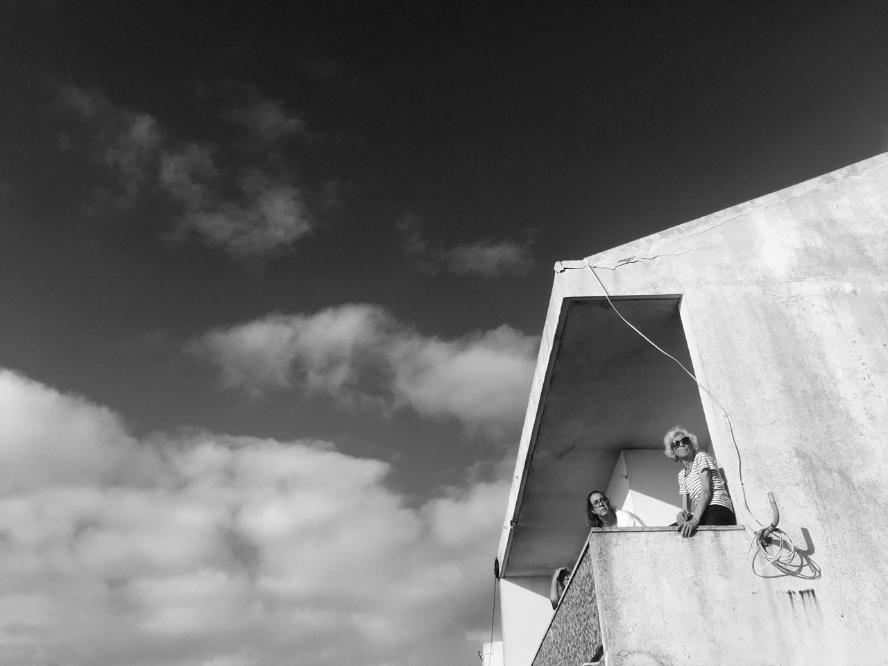 Виолетта Скрипка