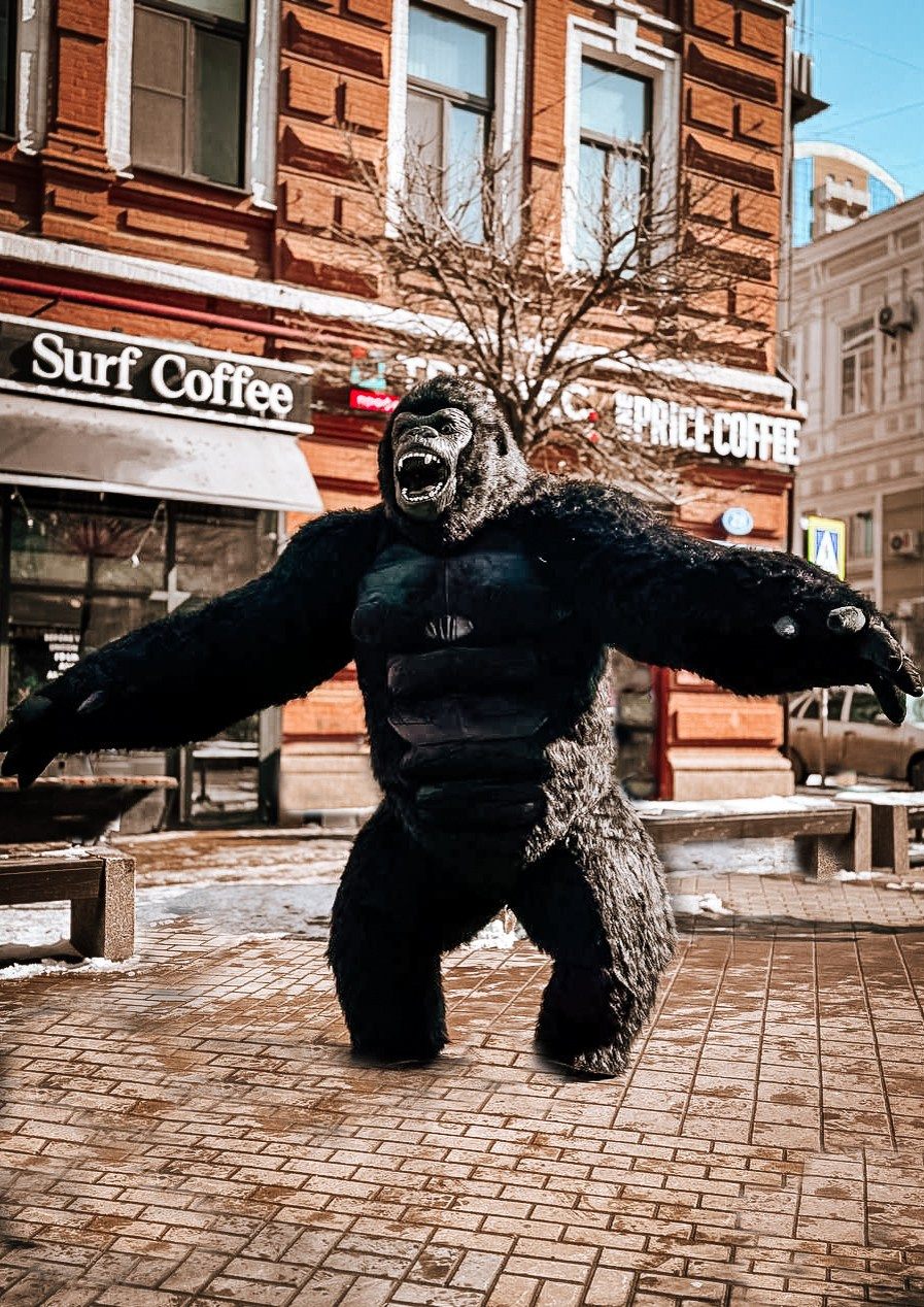 Эксперсс поздравление.ростовые куклы, медведь, панда, горилла. Организатор праздников. Ведущая Марина Гребенникова