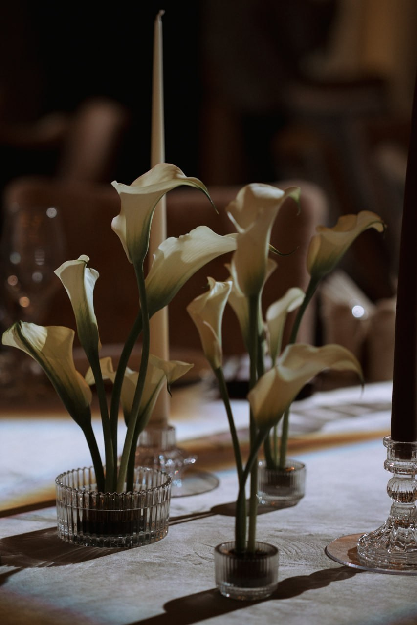 ВИТАЛИЙ И ВИКТОРИЯ 05|09|25. Свадебное агентство Ива-ивент