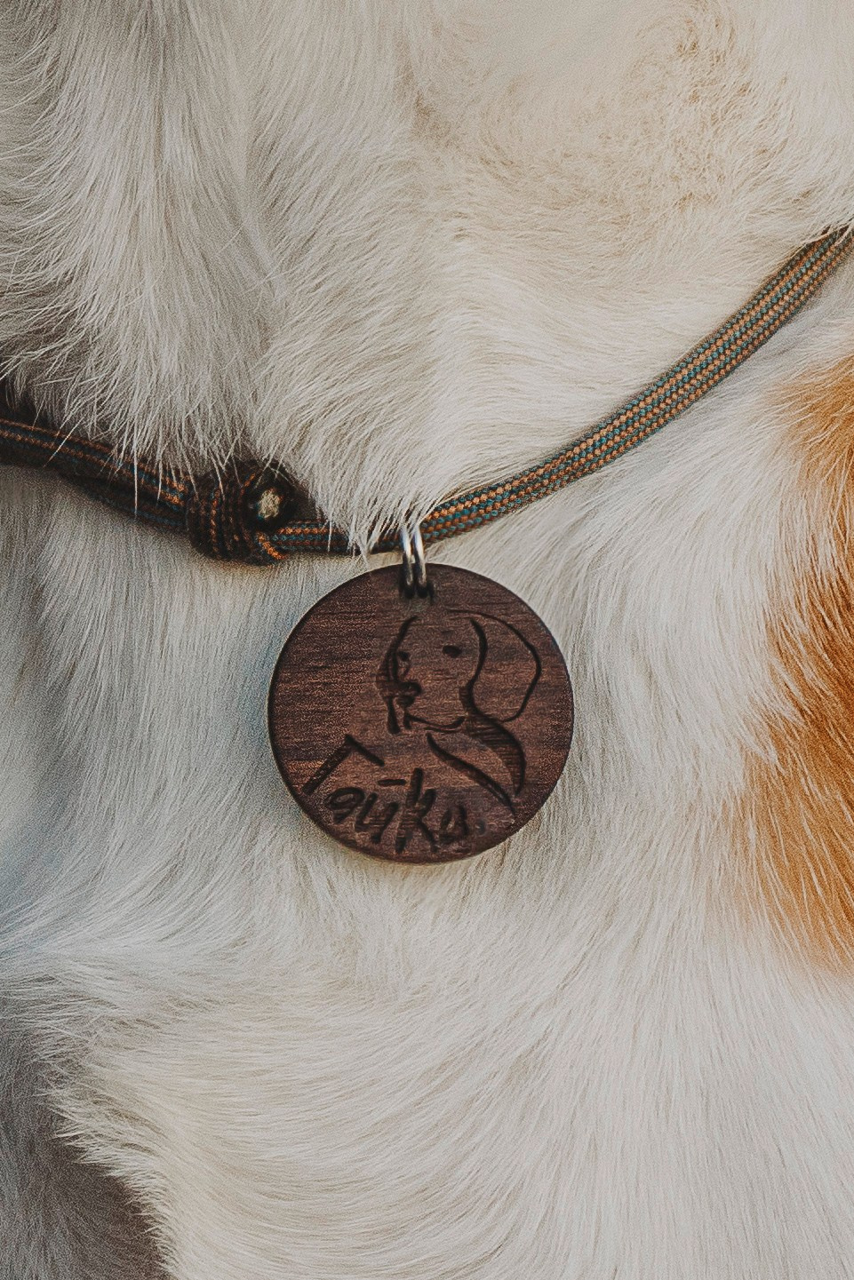 Ксения и Гаечка. Фотограф анималист в Спб недорого Олеся Майорова