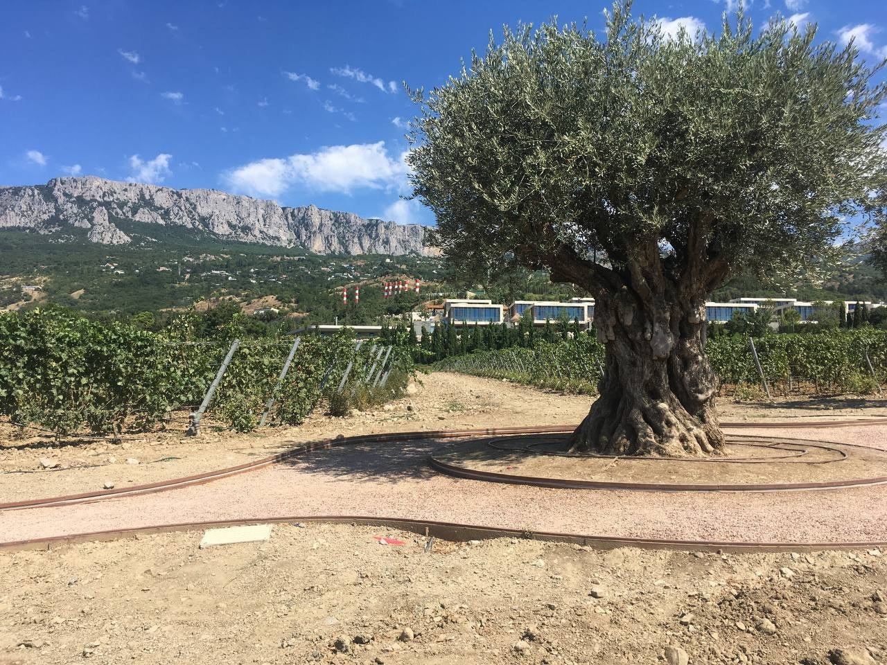 Топ локаций для фотосессии в Крыму - советы от фотографа. Профессиональная фотосъемка в Крыму. Натуральные эмоции и живые кадры. Забронируйте дату прямо сейчас!