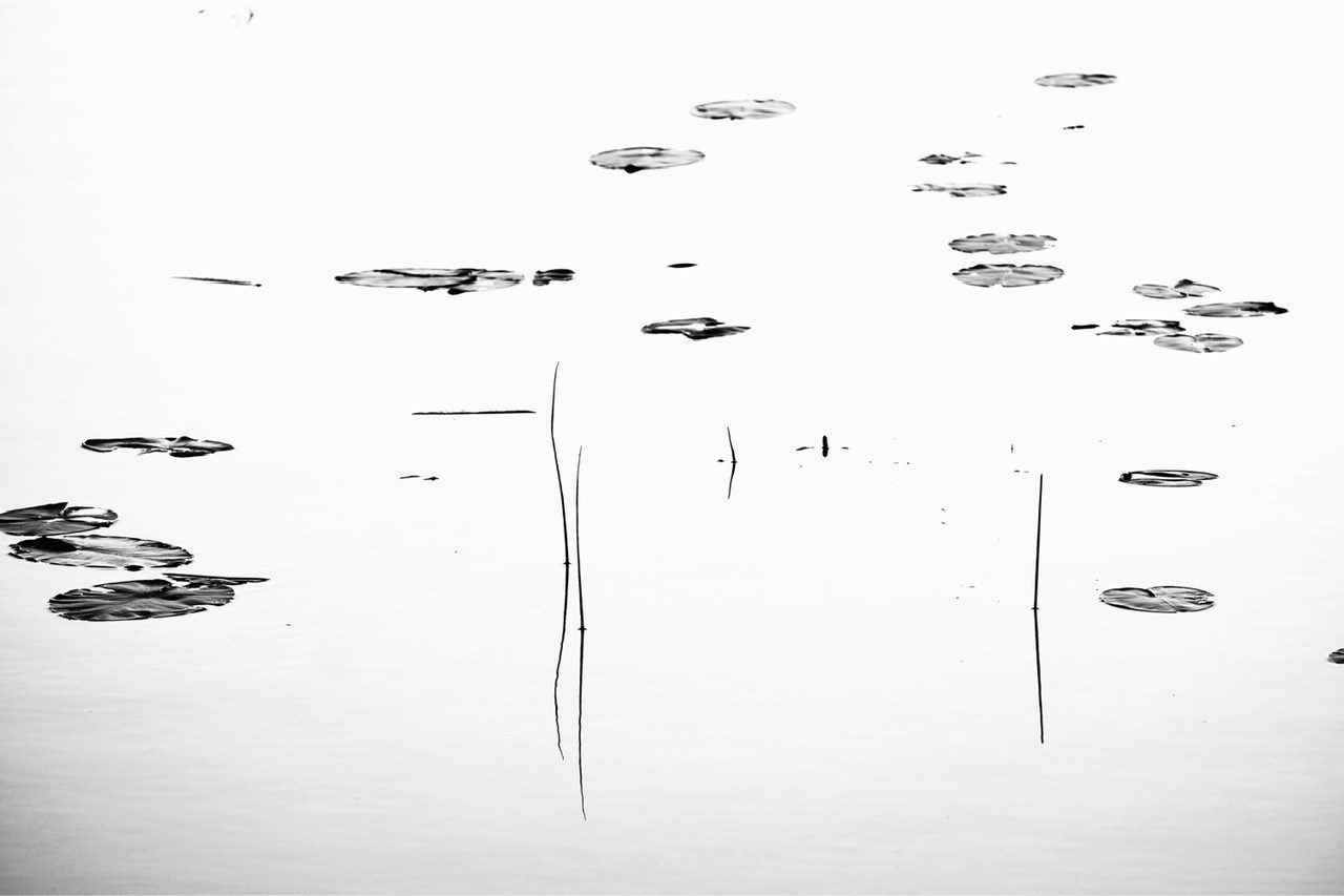 Реальная геометрия. Фотограф Евгений Андреев