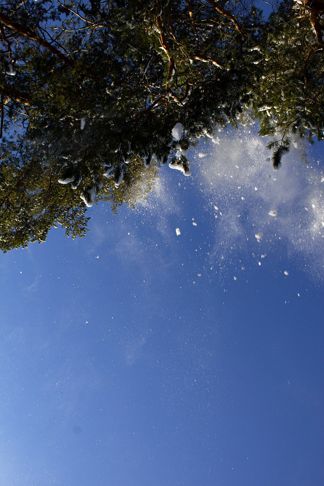 Зима. Природа севера