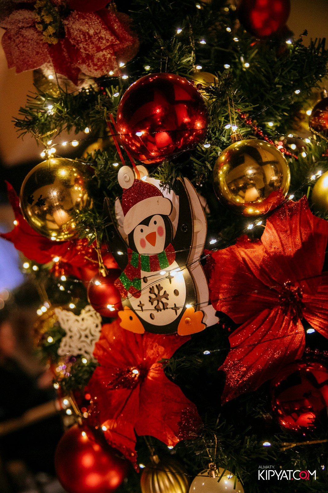 MED COFFEE & KITCHEN. КИПЯТКОМ АЛМАТЫ! Фотосъемка мероприятий в Алматы