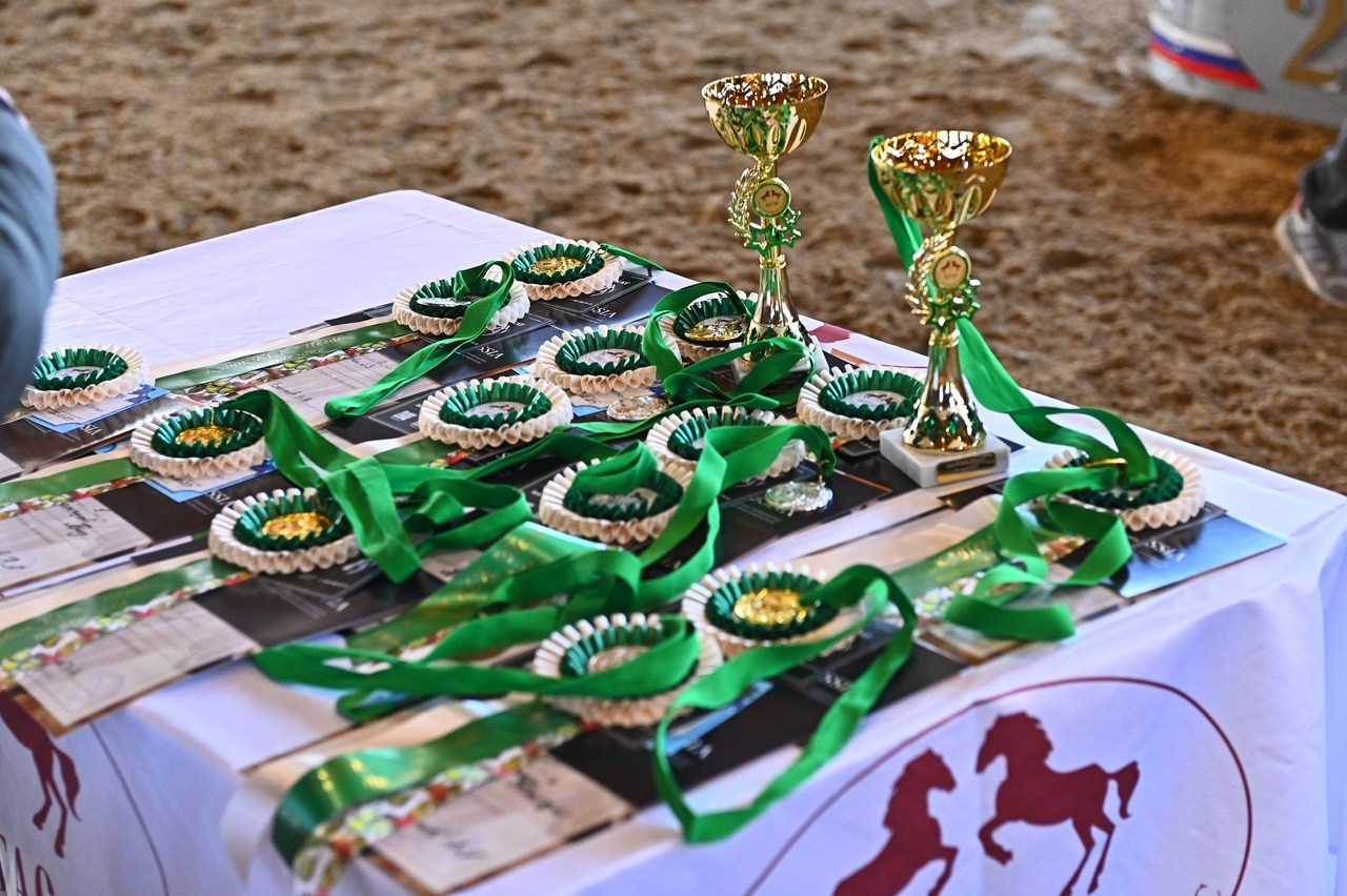 Отзывы. ТУРНИРНАЯ КОННАЯ ФОТОГРАФИЯ, Руднева Ольга и Евгений Адеев