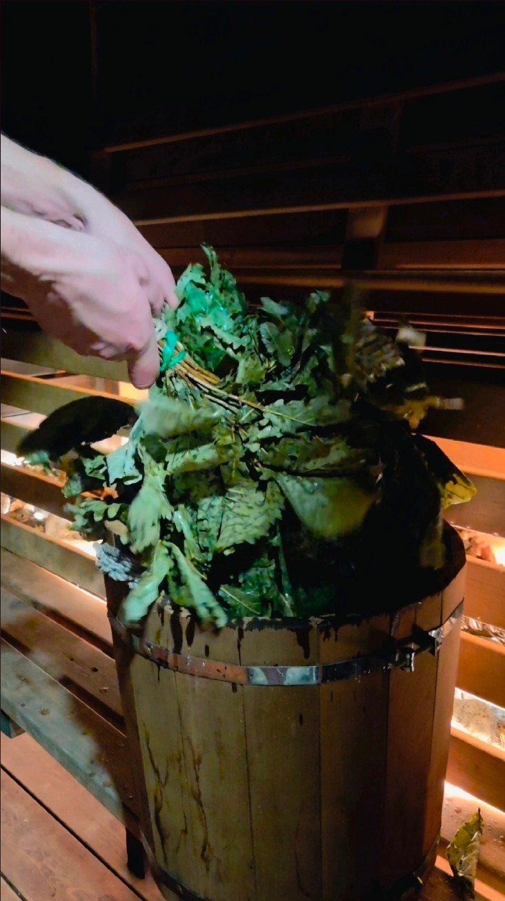 ФОТО Гостевой мини дом. Вгости. Посуточная аренда дома во Владивостоке, баня с чаном. Теплый бассейн, геокупол. Аренда дома во Владивостоке, Надеждинском районе