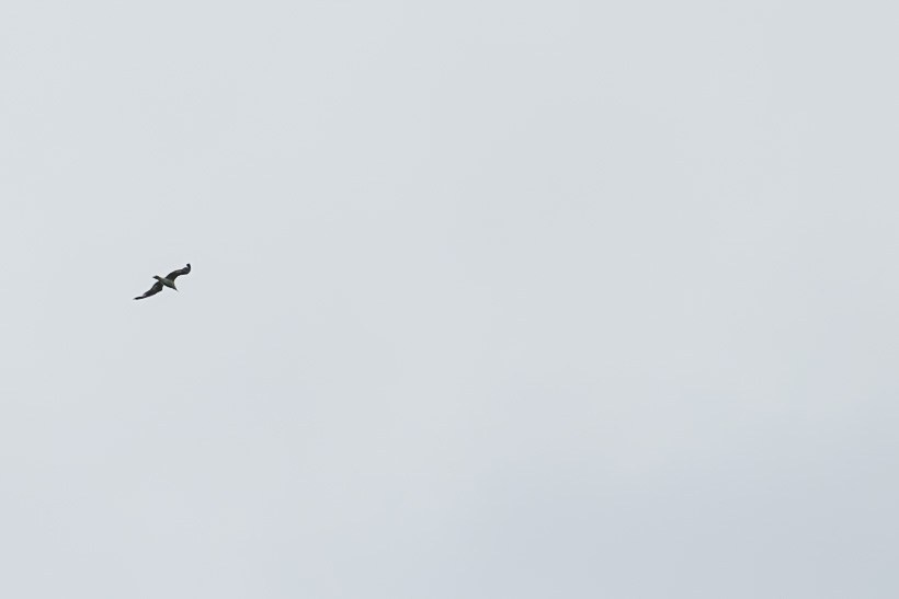 Счастье в горах. Фотограф Аделина Raw