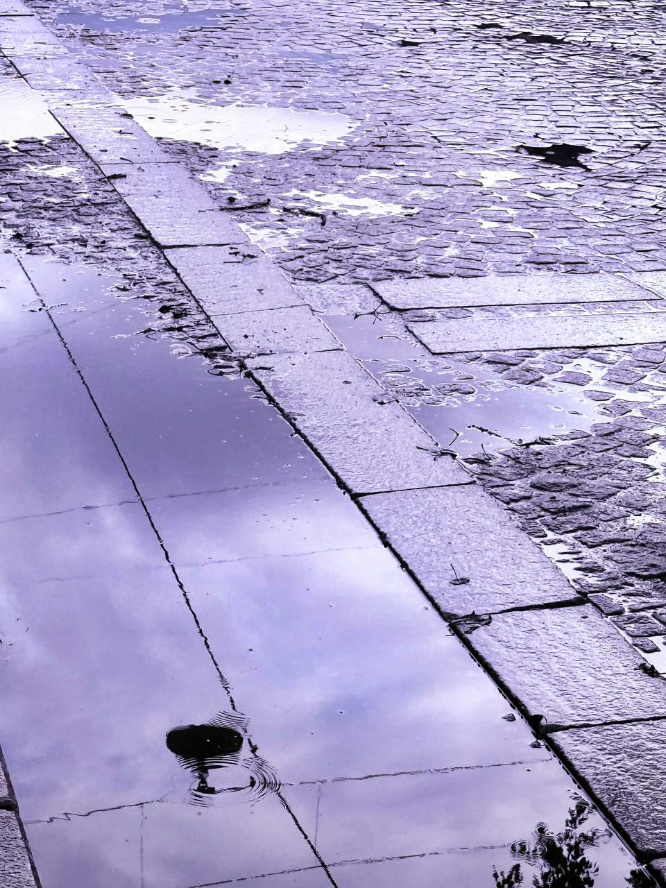 Уличный. Фотограф Арсений Королев