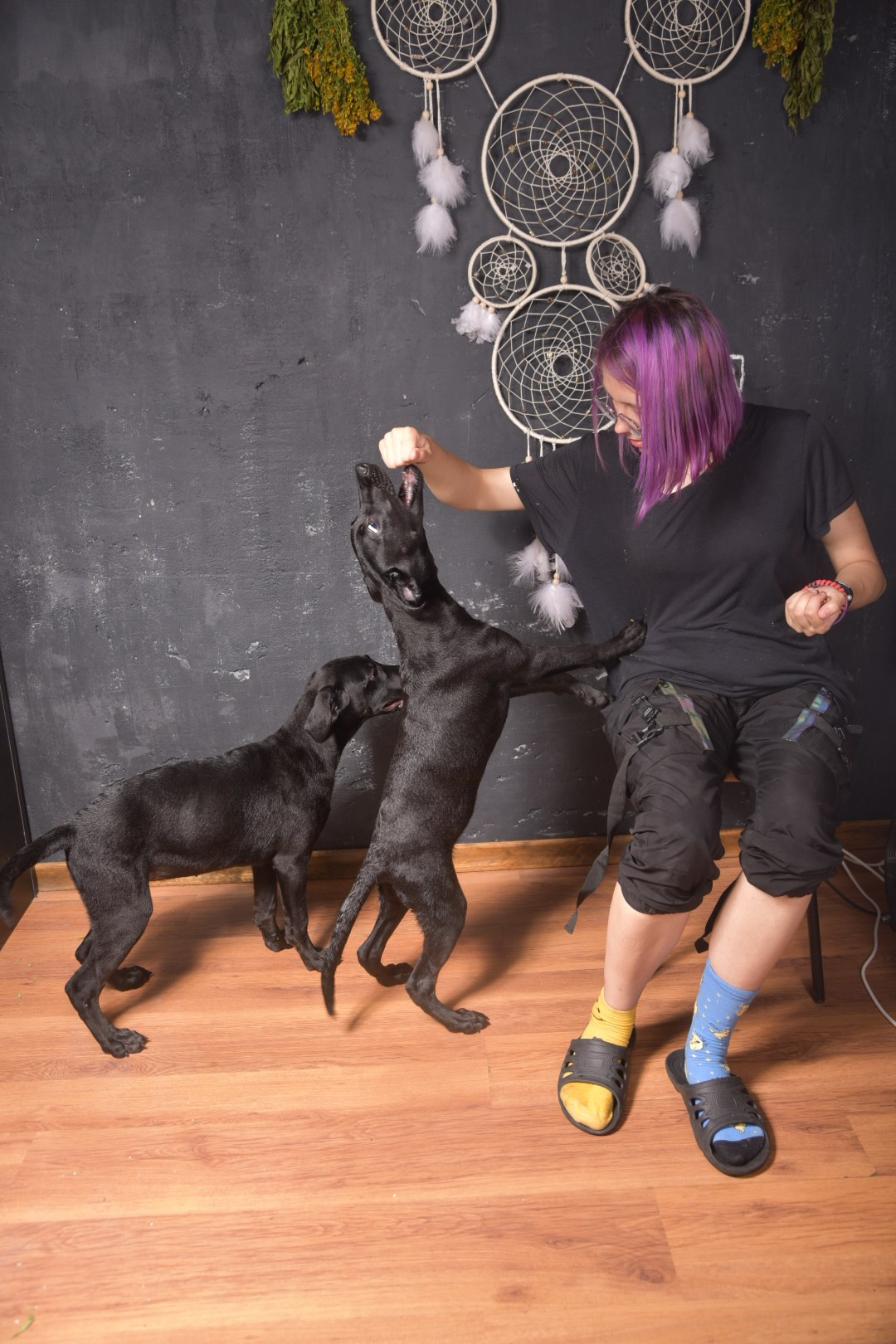 Лабродобрики. Фотограф Евгений Симохин