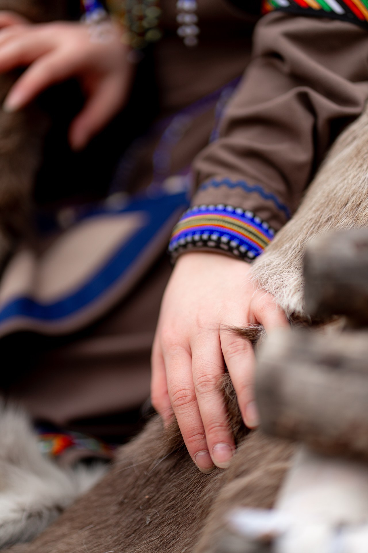 Аристократка Севера. Фотограф в Красноярске Нерозя Александр. Пейзаж, природа, портрет