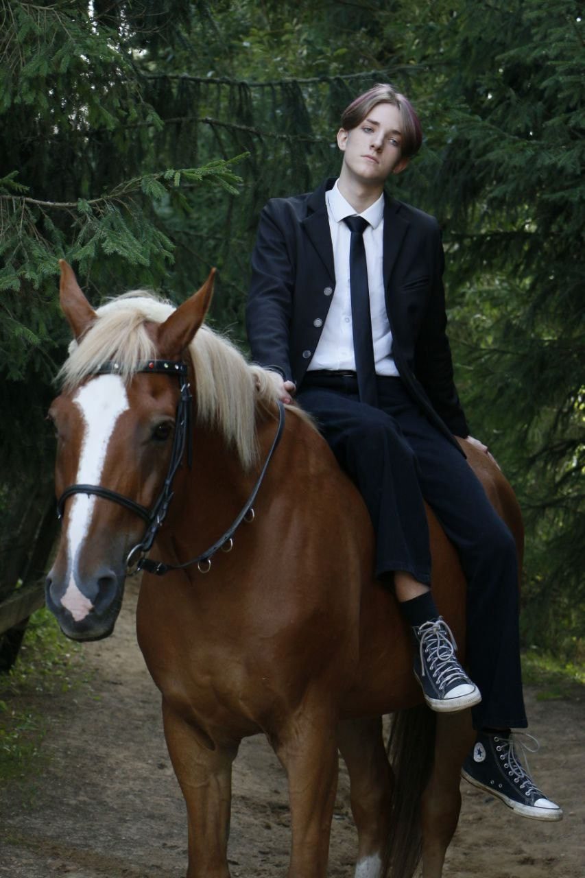 Horses. AVE CONCEPT by German S