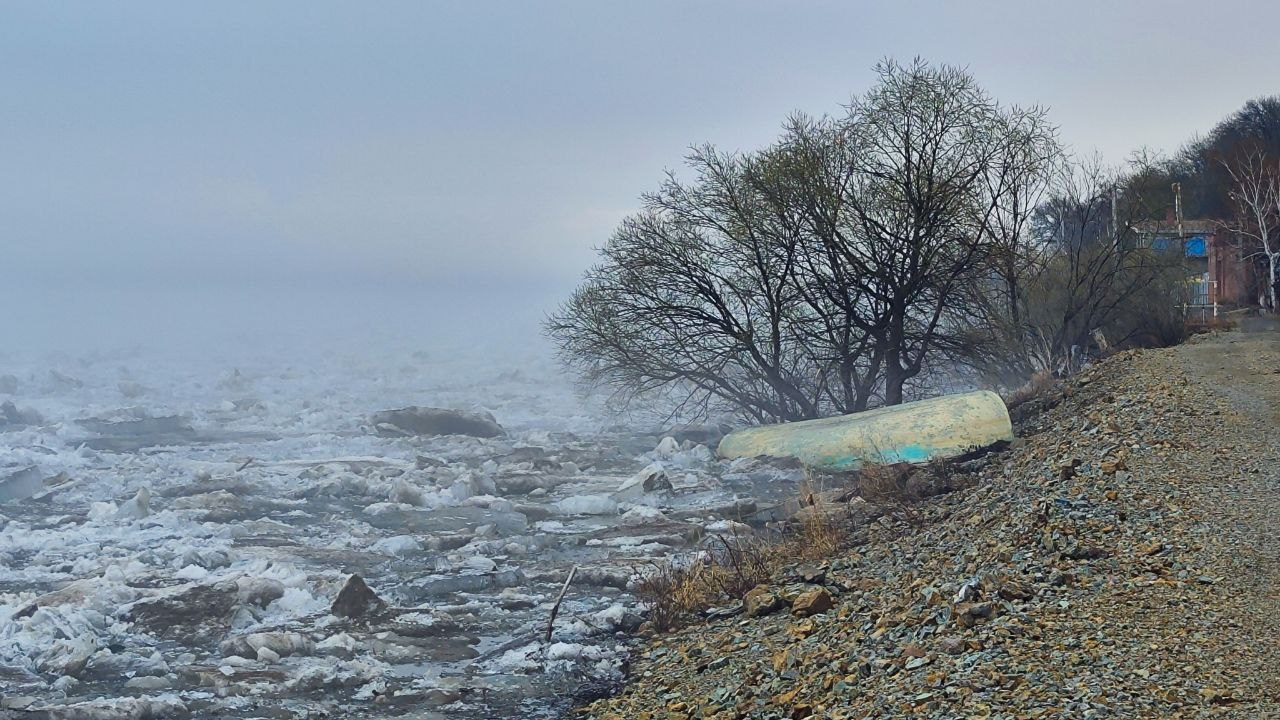 дачи, город, архитектура, стрит, репортажная фотография, фотография, Хабаровск, фотосессия, фотограф, дом, новостройка, улицы, жизнь города, town, art, photo, photographer, photo, Khabarovsk, Far East, street photo, природа, Дальний Восток, тайга, цветы, закат, небо, облака, nature, clouds, forest, flower, sunset