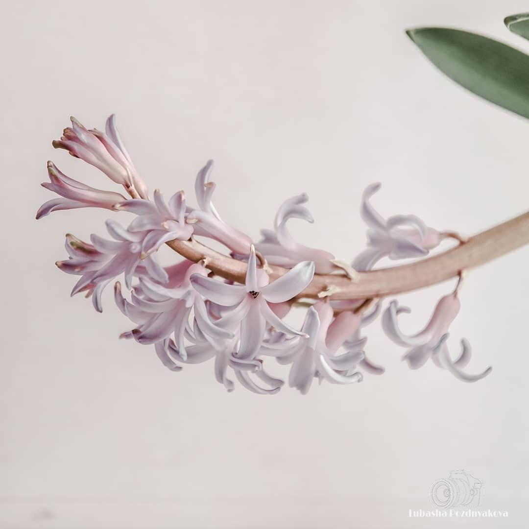 Фотограф-видеограф Познякова Любовь