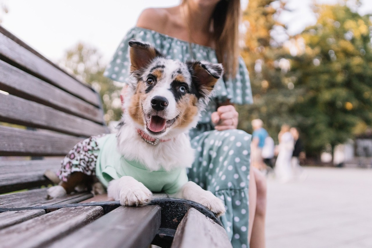 Отзывы. Фотограф в Москве