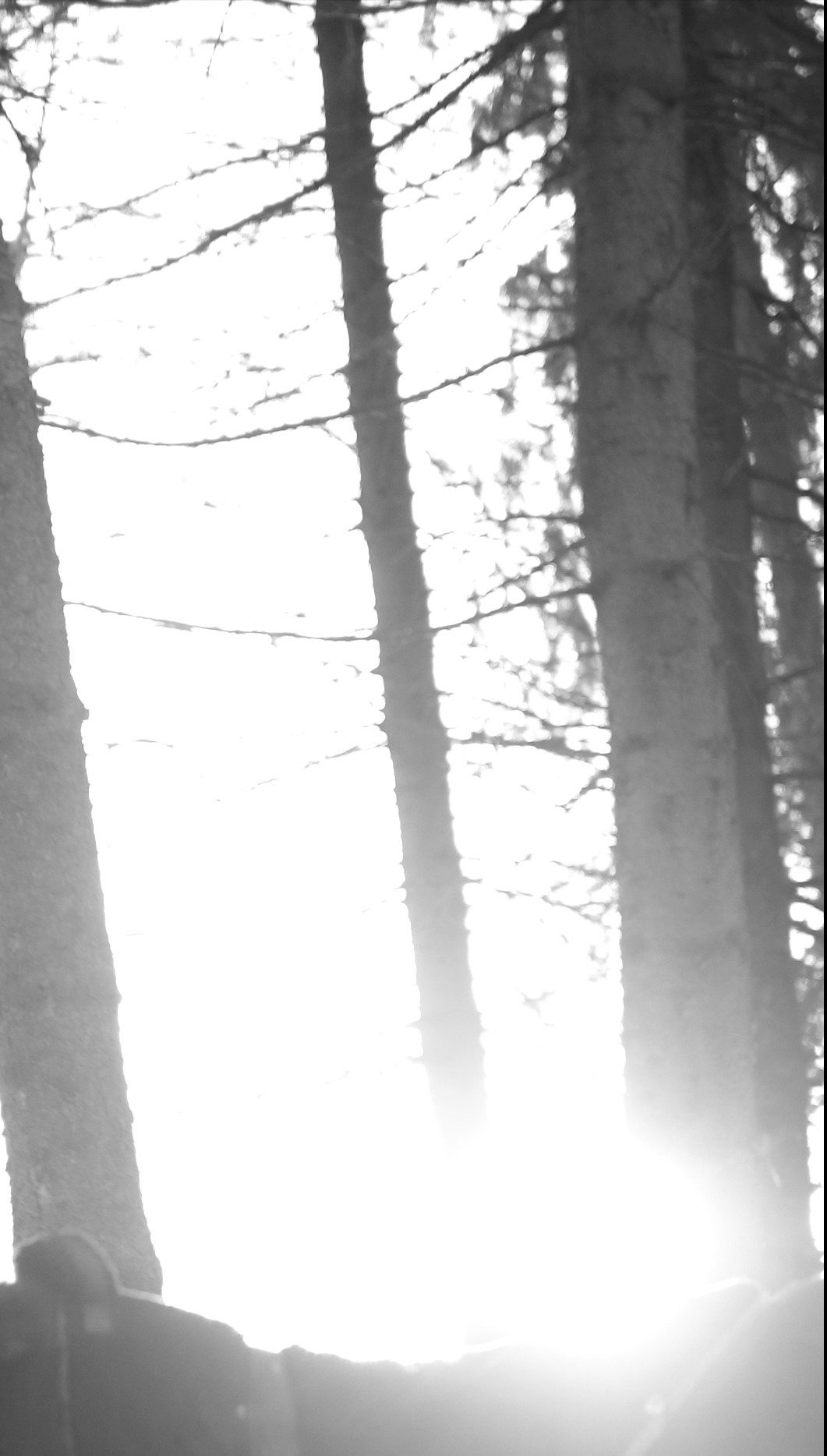 Ничего не было видно и приходилось прислушиваться. Художественная группа «Нежные Бабы»