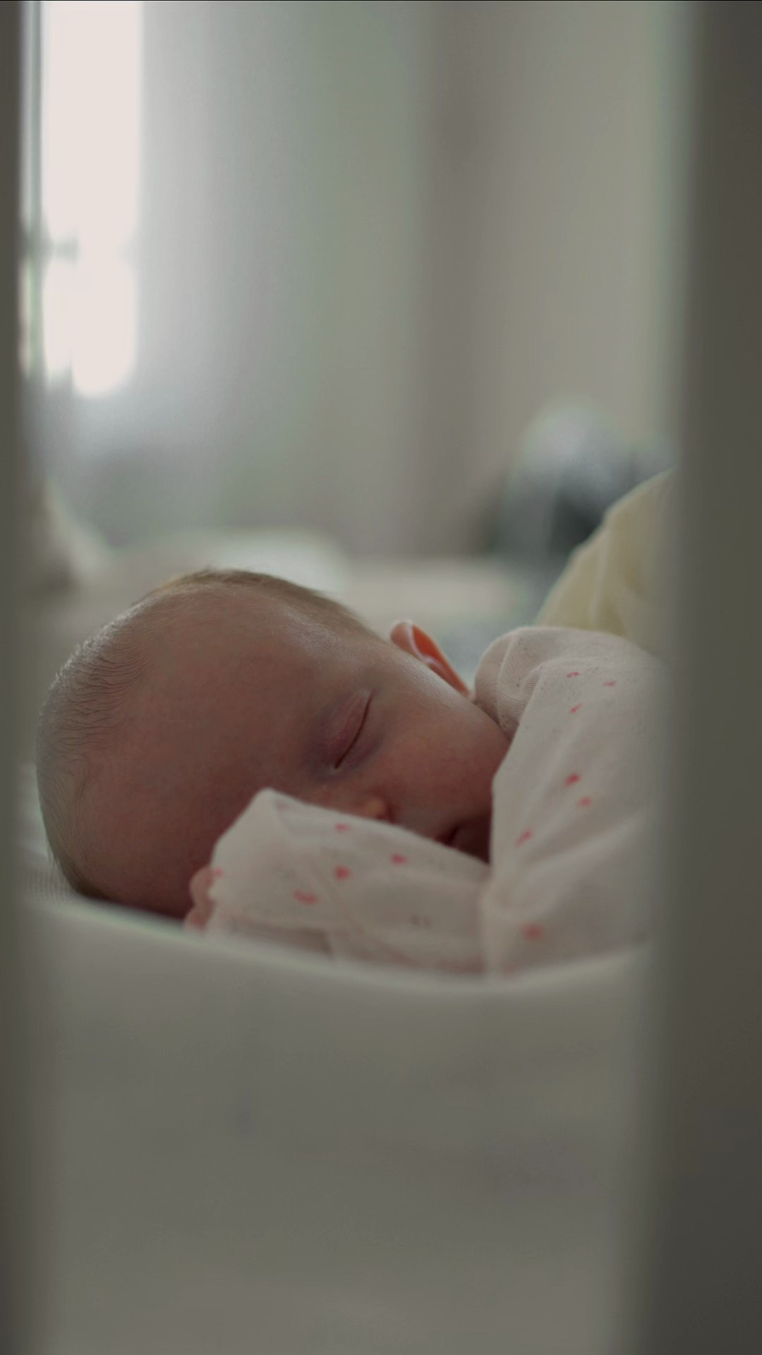 Стоимость съемки. Семейный фотограф в Санкт-Петербурге Дарья Фадеева