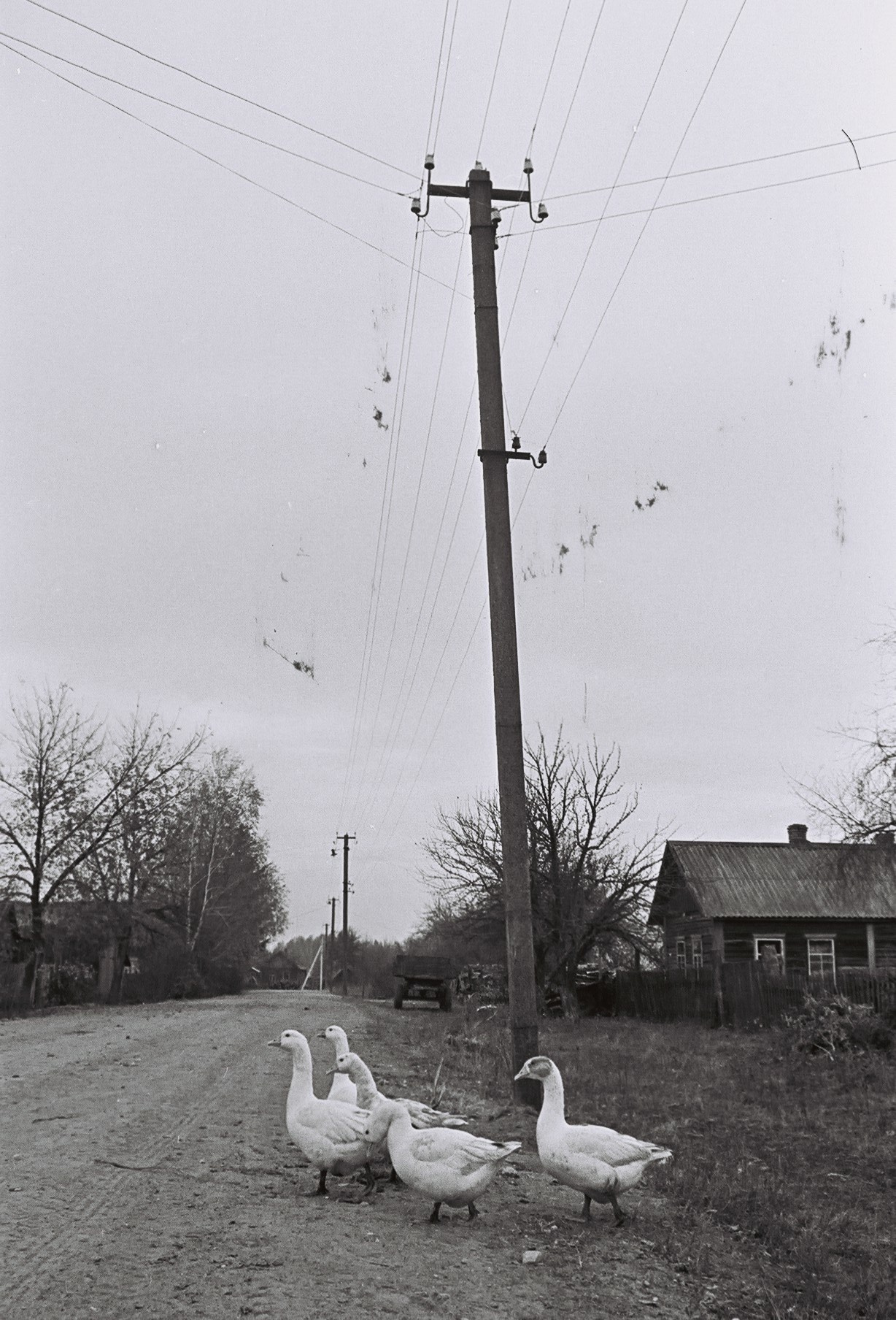 Марс – маленькая белорусская деревенька на границе Беларуси и России, Свадьба минск, свадебный фотограф, минск фотограф, репортажной фотограф Беларусь,  фотограф в Минске, Алексей Матюшков, фоторепортер Беларуси, Репортажная съемка мероприятий,  Дни рождения, праздники