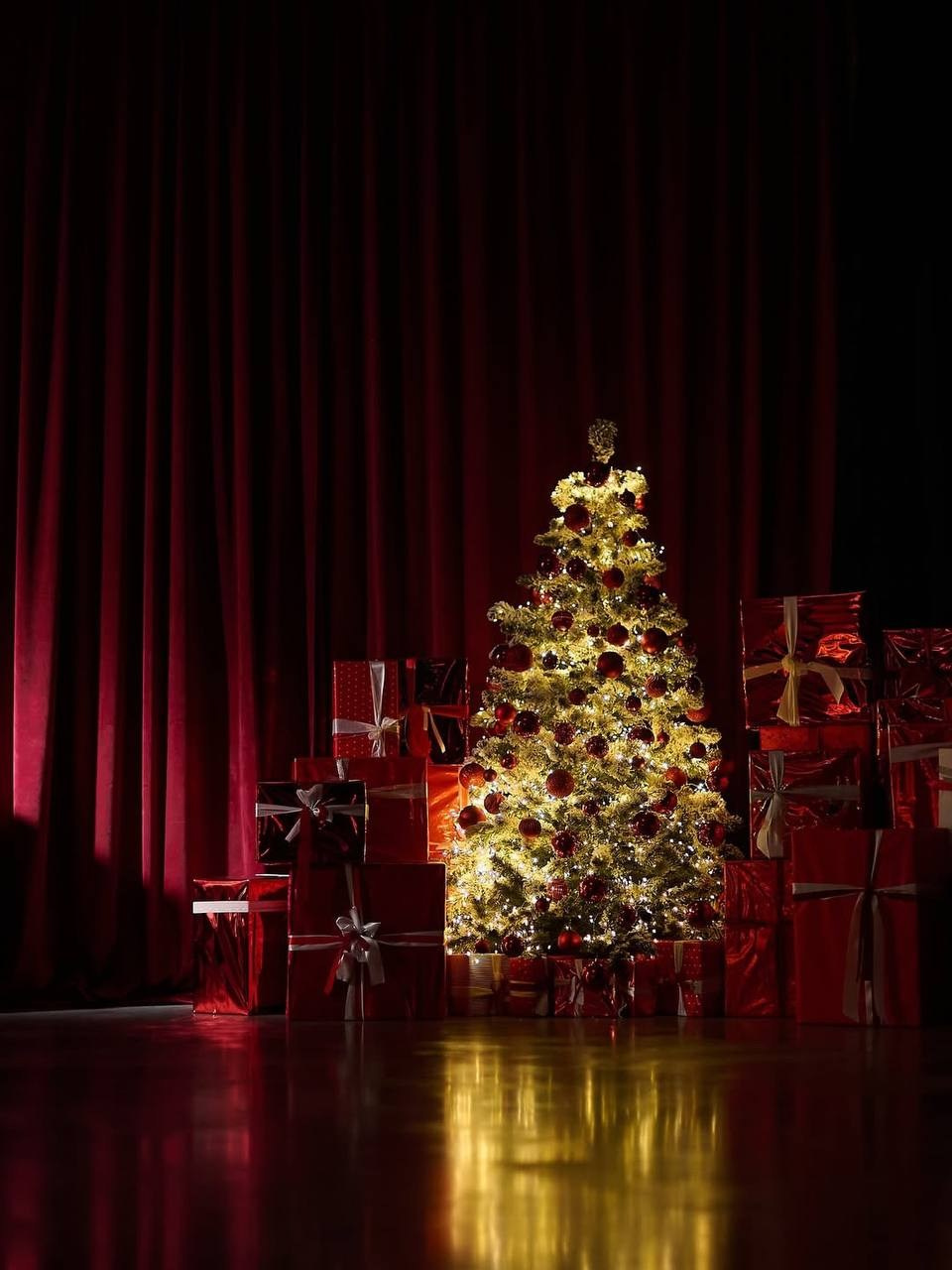 Новогодняя фотосессия в Туле. Портретный, семейный, свадебный фотограф. Бизнес, контент съёмка. Тула