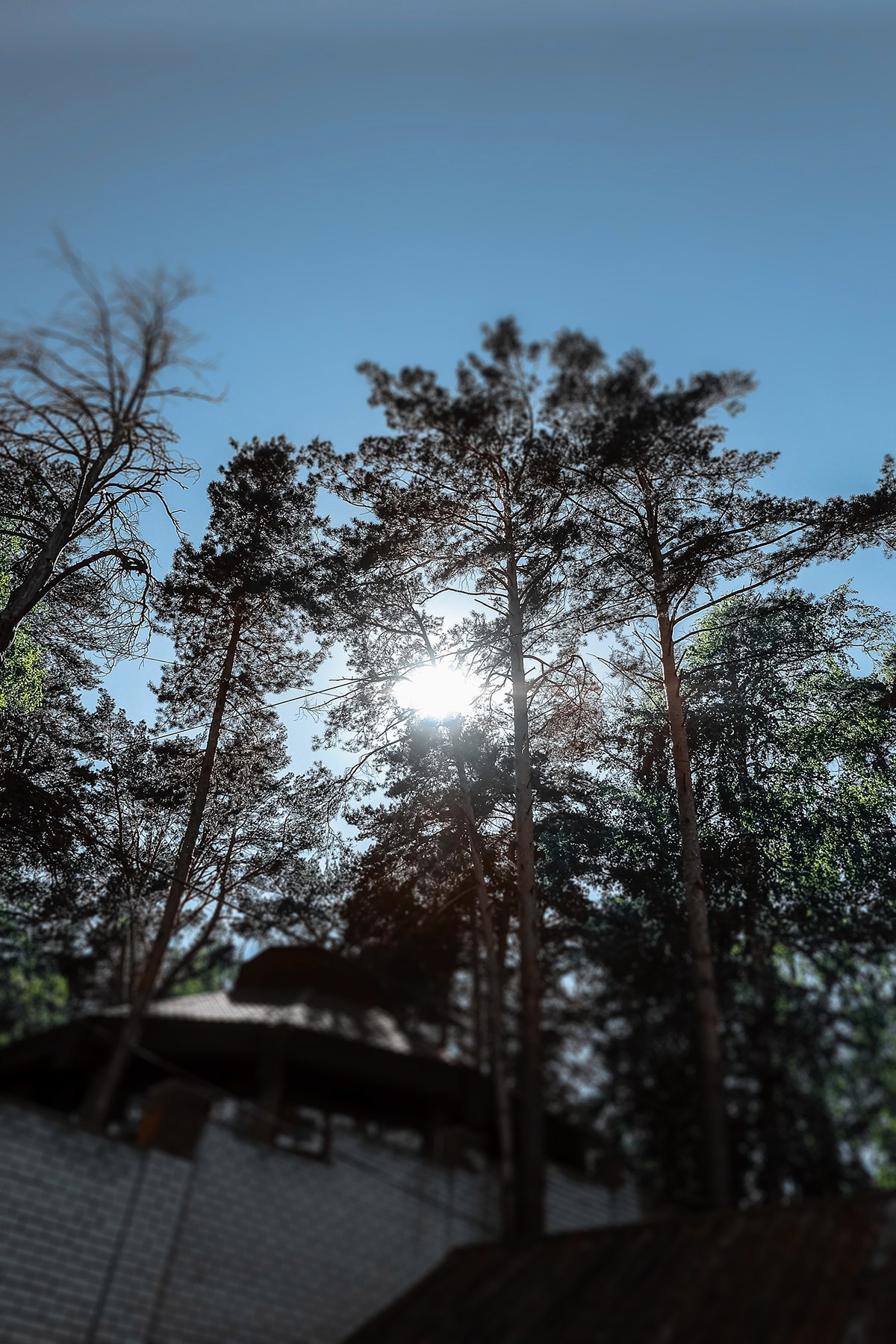 Андрей и Катя. Свадебный и семейный фотограф Барнаул Рубцовск Бийск Алтайский край