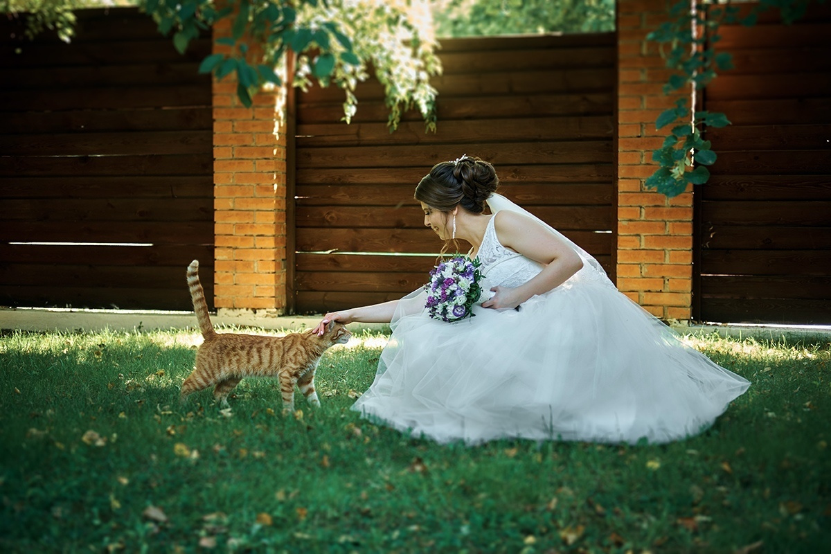 18.08. Свадебный и семейный фотограф Барнаул Рубцовск Бийск Алтайский край