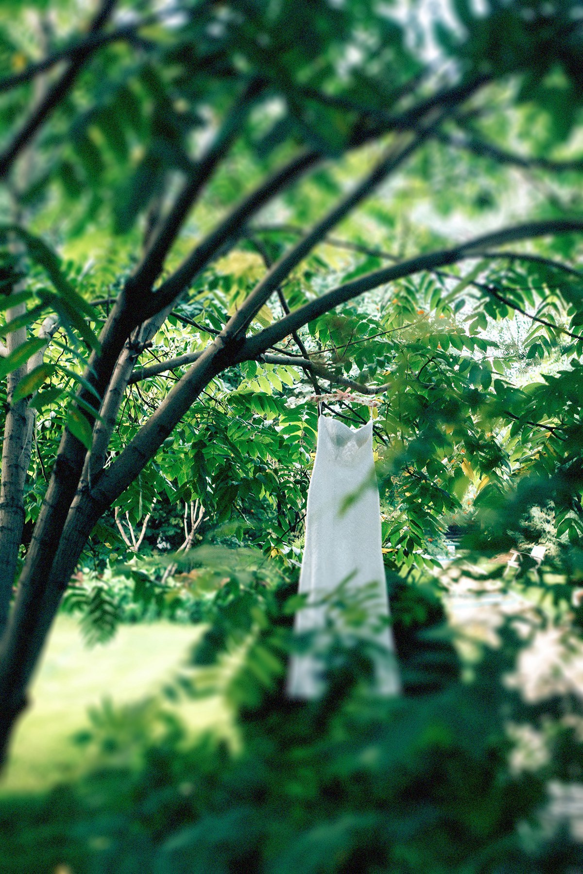 Даша_Артем. Свадебный и семейный фотограф Барнаул Рубцовск Бийск Алтайский край