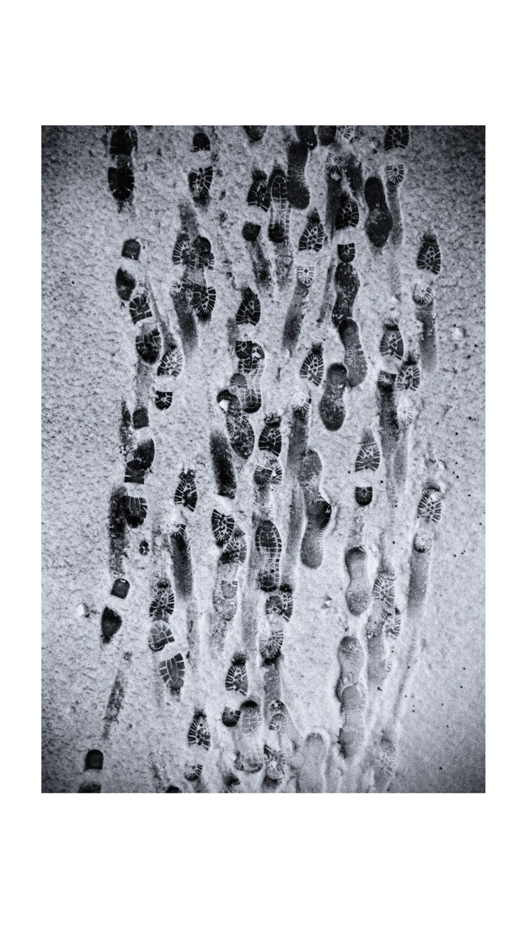 «Не выходя из дома». Главная