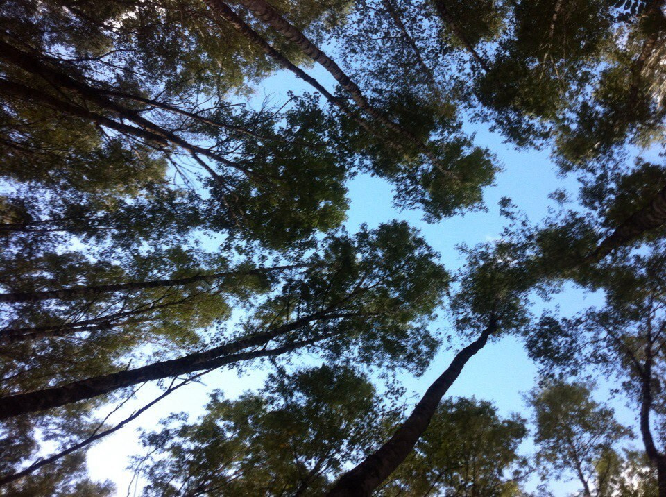 Деревенский выезд 2 | 26-28.08.2016. Галерея Фантим