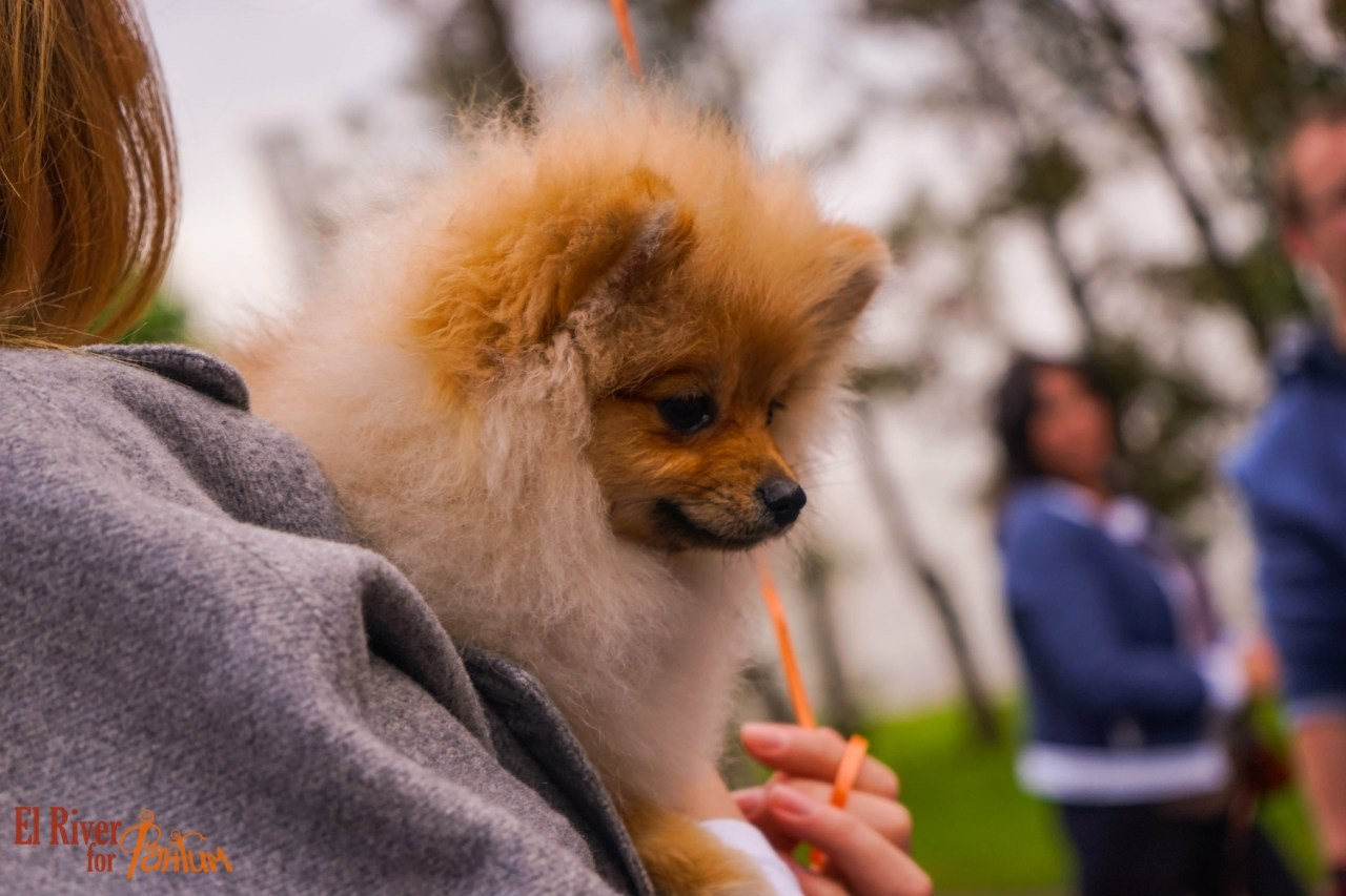 День рождения Фантима. 7 лет! | 21-22.05.2016. Галерея Фантим