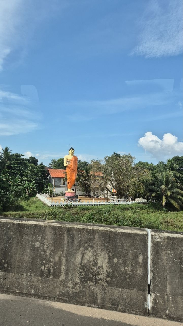 Шри-Ланка | 31.01 — 10.02.2025. Галерея Фантим