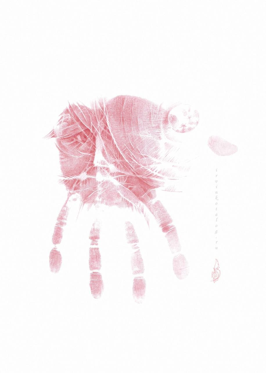 «Всадники межпланетных морей» 20. 09.24 . 