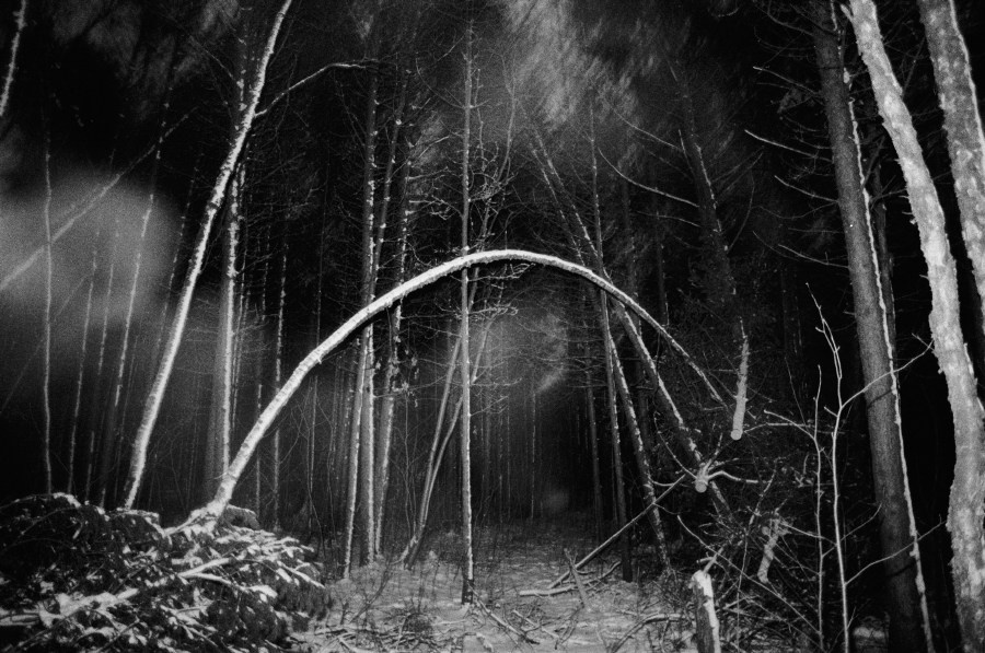 Summer Shore. Vitaly Severov