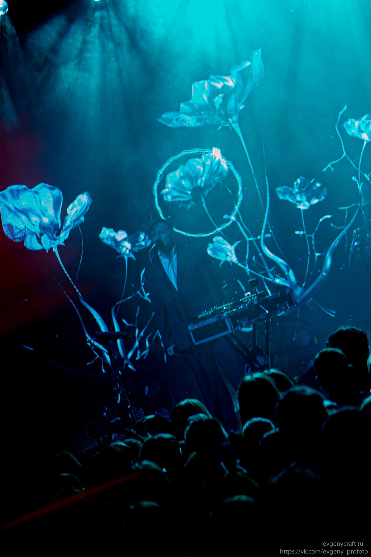 Dolphin 14 feb 2026. EvgenyCraft