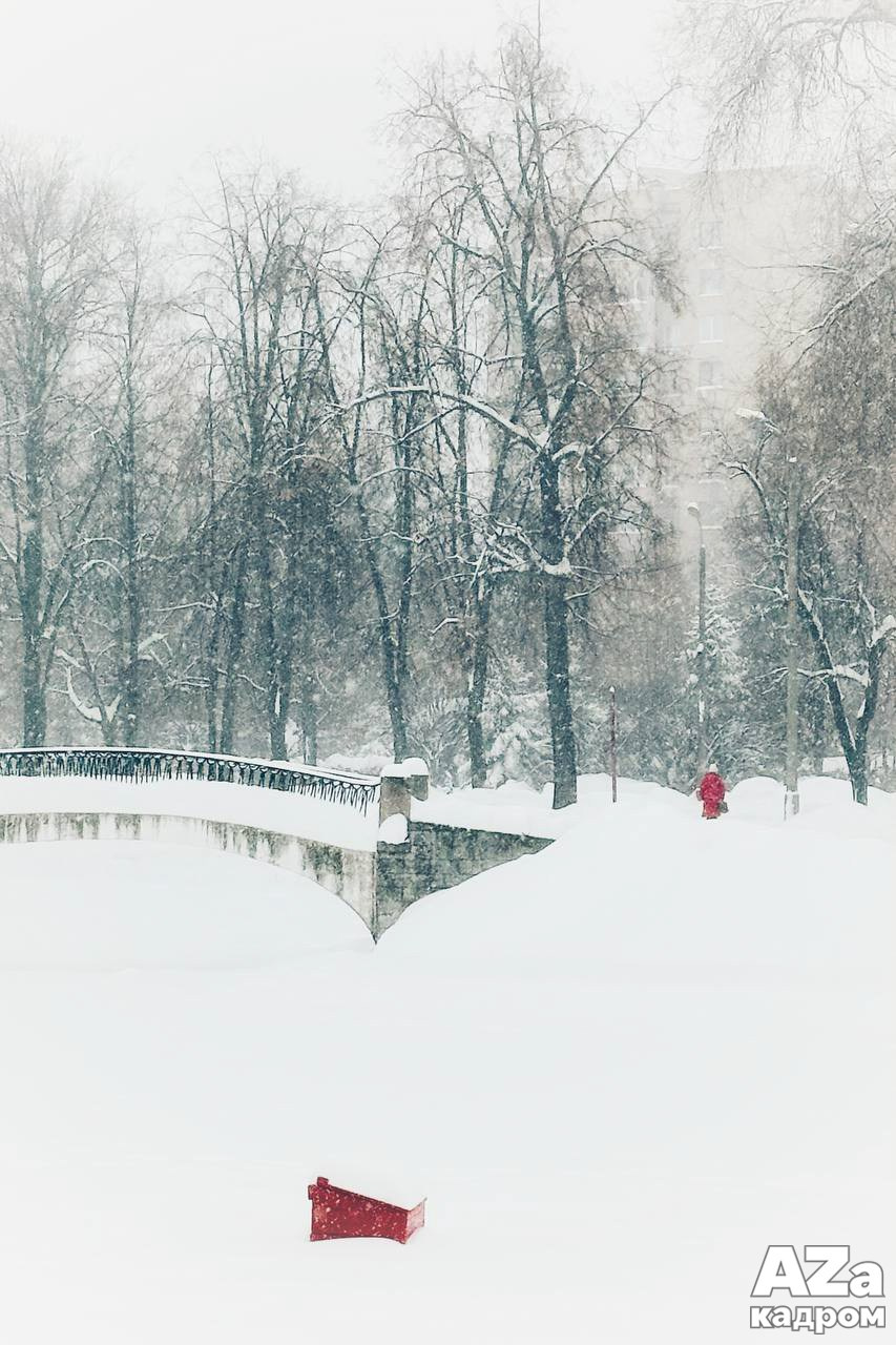 Фотофанты 02.02.2026. Женский семейный фотограф Тула Москва Захарова Анна
