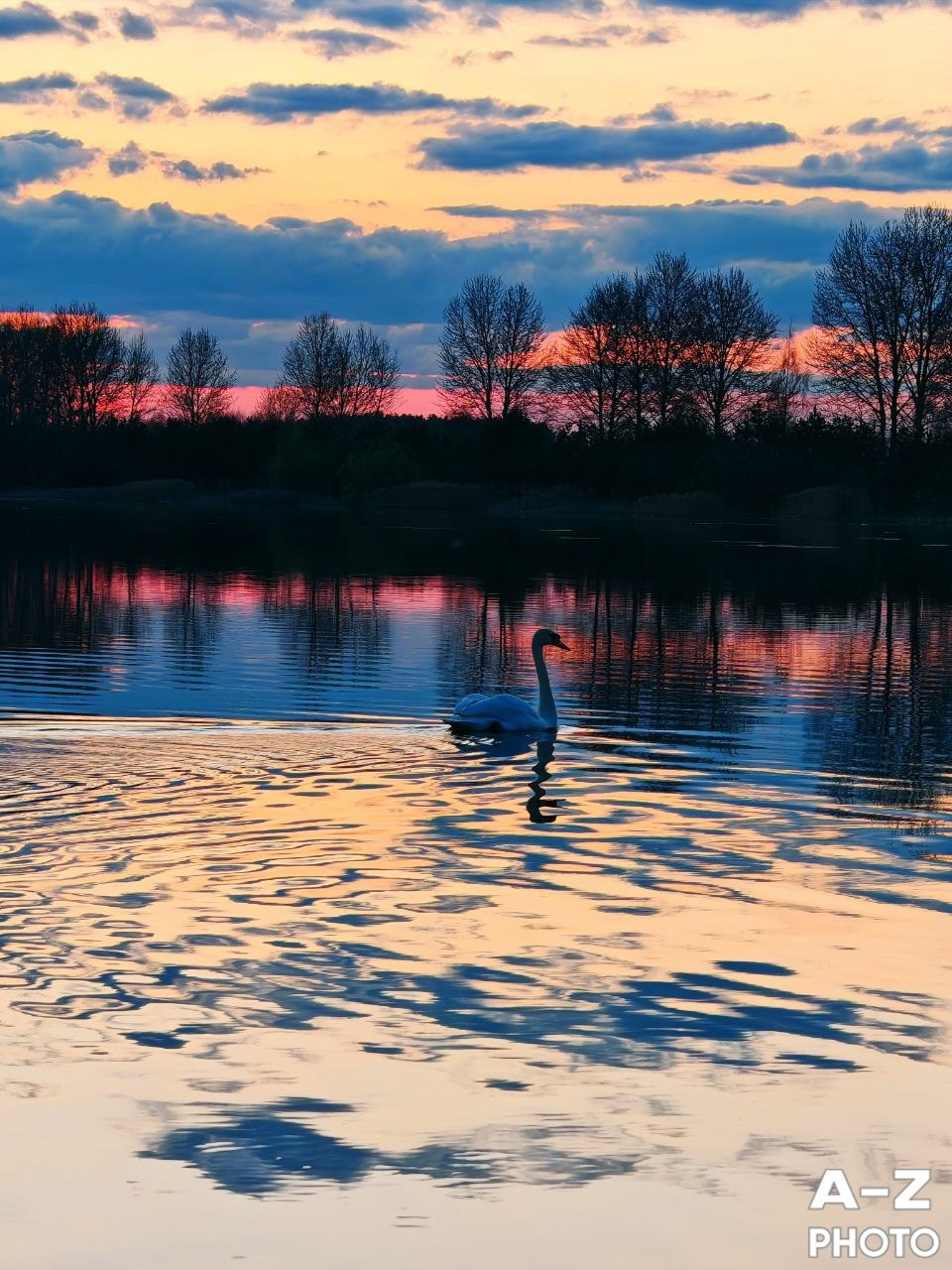 #ФОТОНЕДЕЛИ 20.04.2026. Женский семейный фотограф Тула Москва Захарова Анна