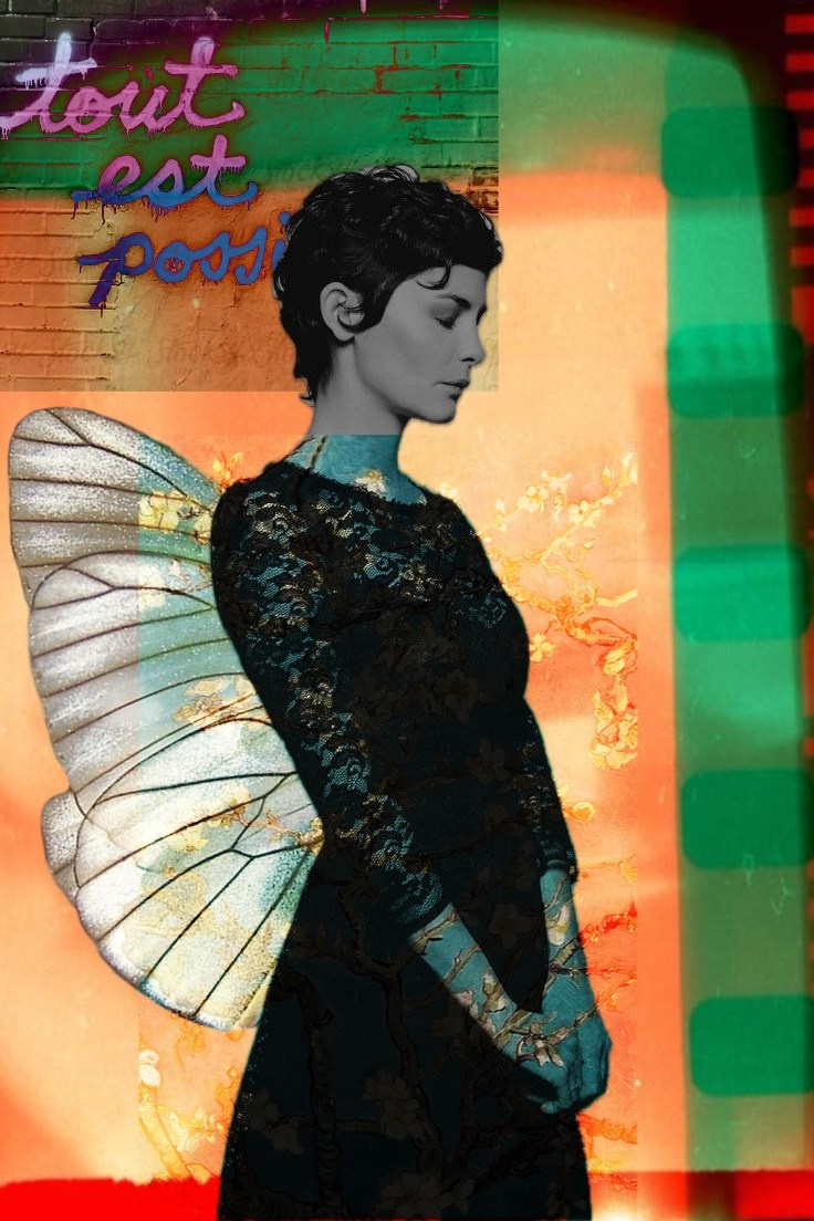 Collages. Марковы: фото, видео, кино и книги