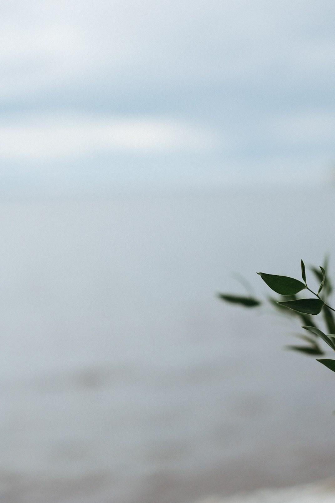 Просто такая сильная любовь. Фотограф Нижний Новгород